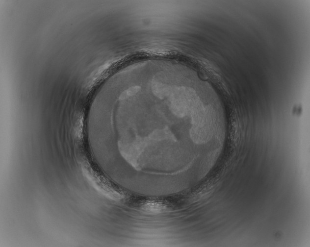 X0000115100596200911171242