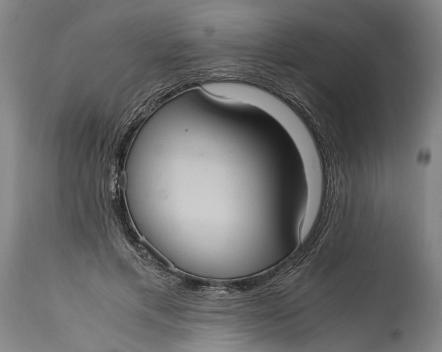 X0000115100597200911171242