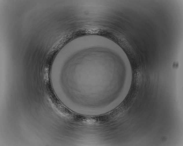 X0000115100598200911171242