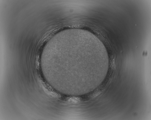 X0000115100599200911171242