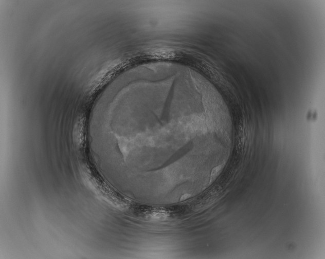 X0000115100600200911171242