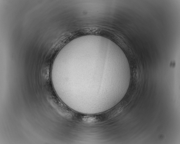 X0000115100602200911171242