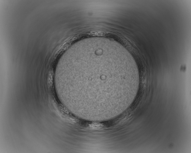 X0000115100603200911171242