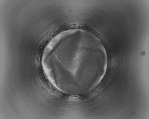 X0000115100606200911171242