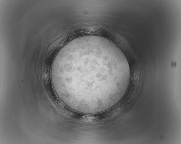 X0000115100607200911171242