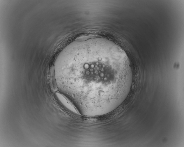 X0000115100609200911171242