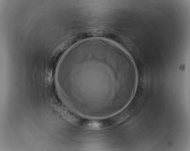 X0000115100610200911171242