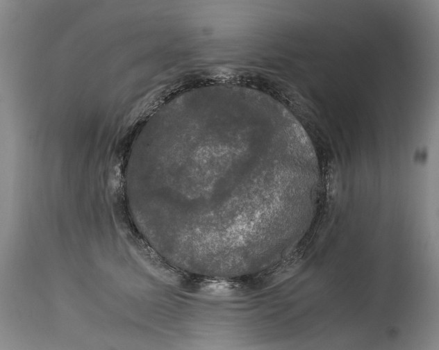 X0000115100611200911171242