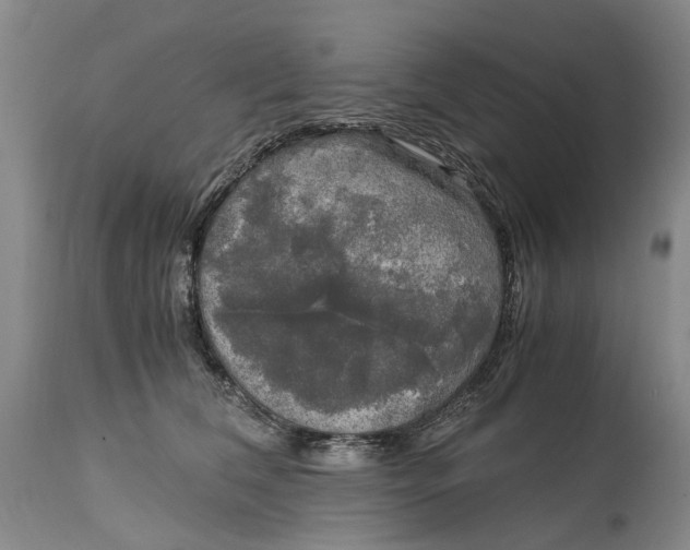 X0000115100612200911171242