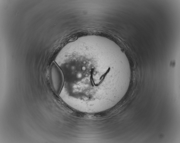 X0000115100613200911171242