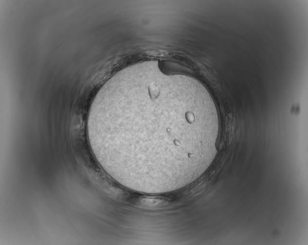 X0000115100614200911171242