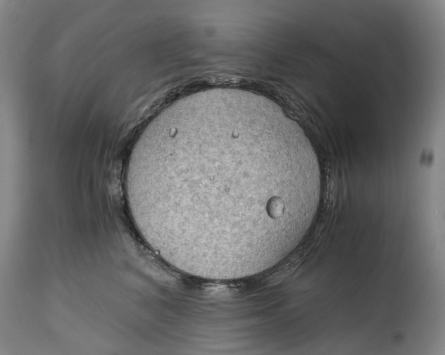 X0000115100616200911171242