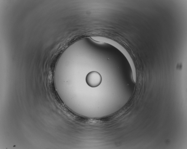 X0000115100617200911171242