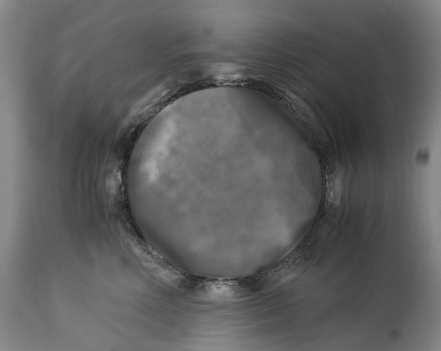 X0000115100618200911171242