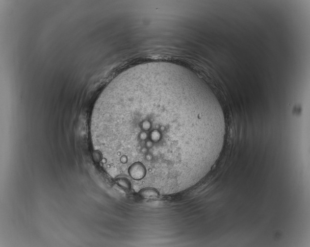 X0000115100620200911171242