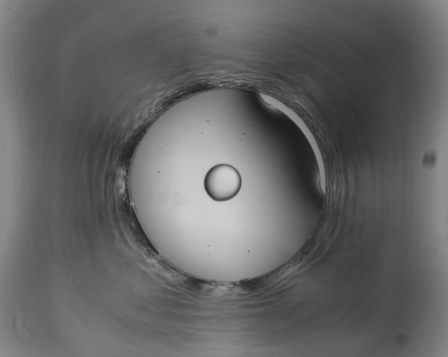 X0000115100621200911171242