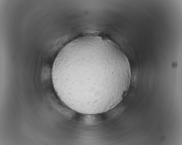 X0000115100623200911171242