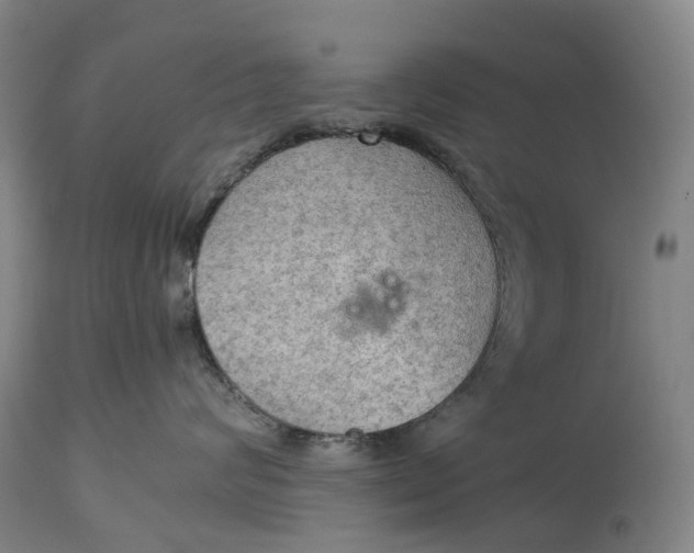 X0000115100624200911171242