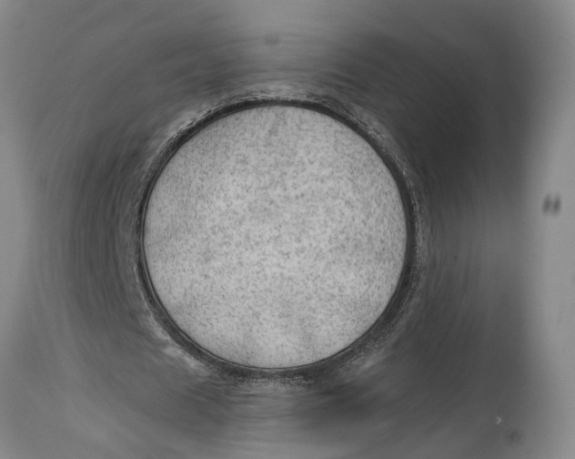 X0000115100625200911171241