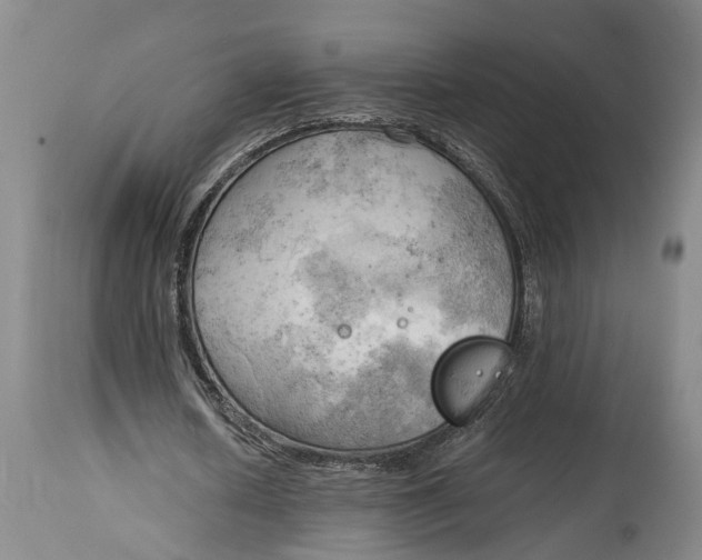 X0000115100626200911171241