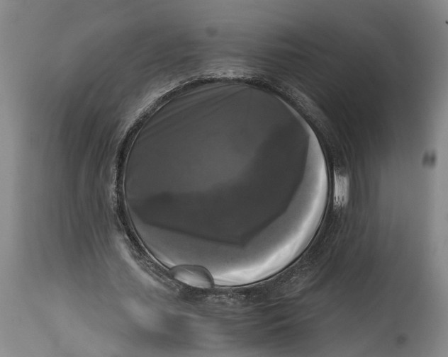 X0000115100627200911171241