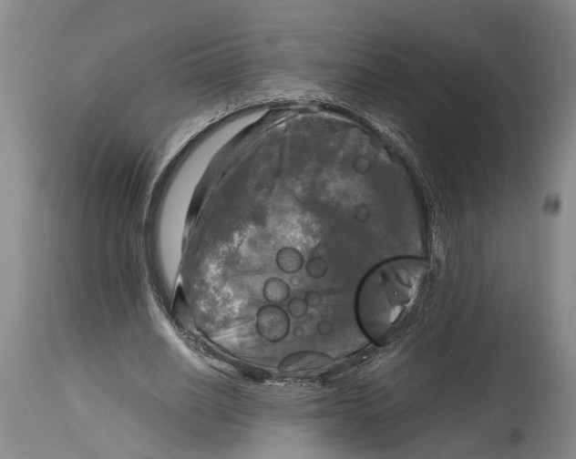 X0000115100630200911171241