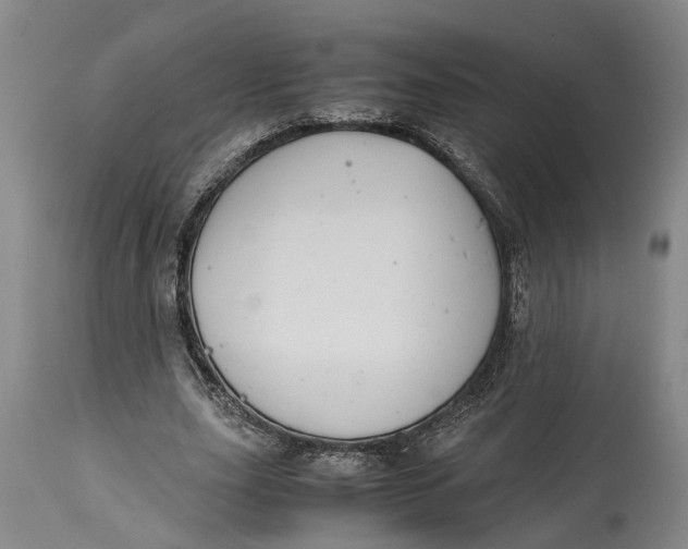 X0000115100631200911171241