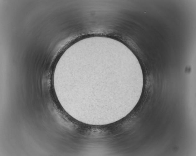 X0000115100632200911171241