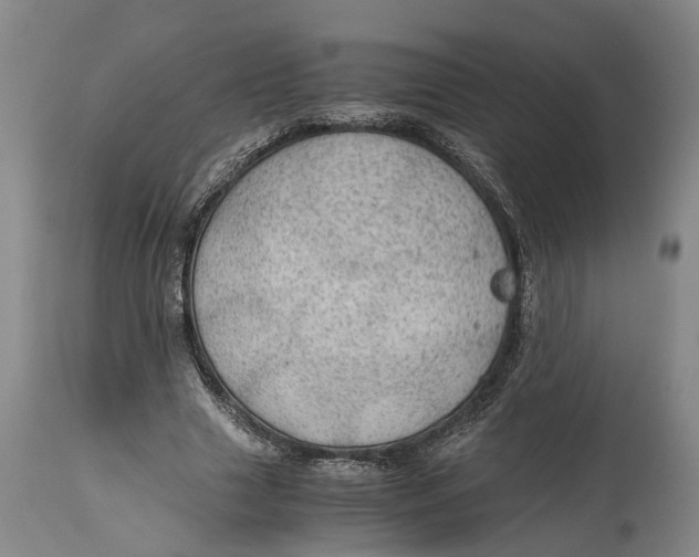 X0000115100633200911171241