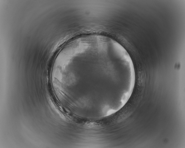 X0000115100634200911171241