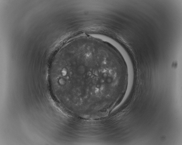 X0000115100637200911171241