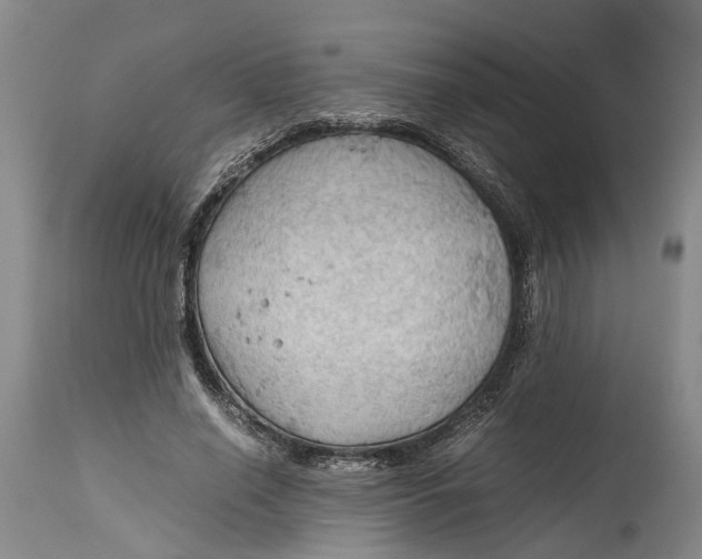 X0000115100638200911171241