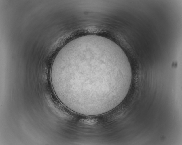 X0000115100639200911171241