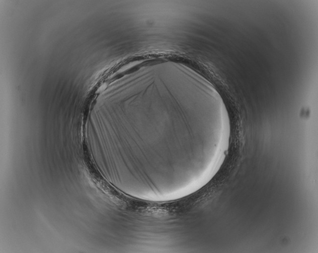 X0000115100640200911171241