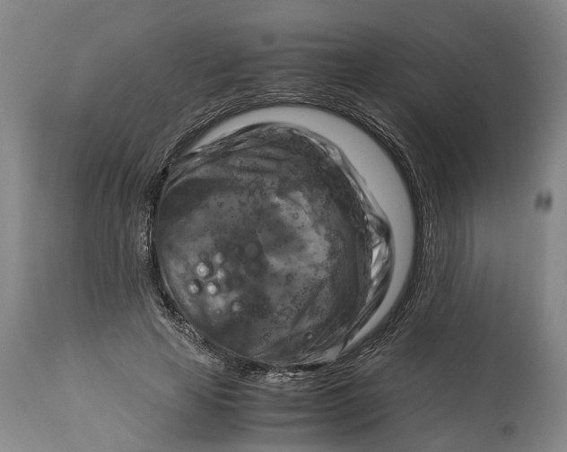 X0000115100641200911171242