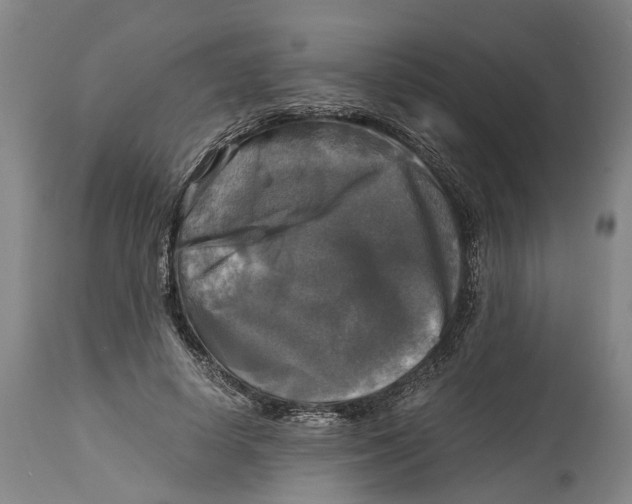 X0000115100642200911171242