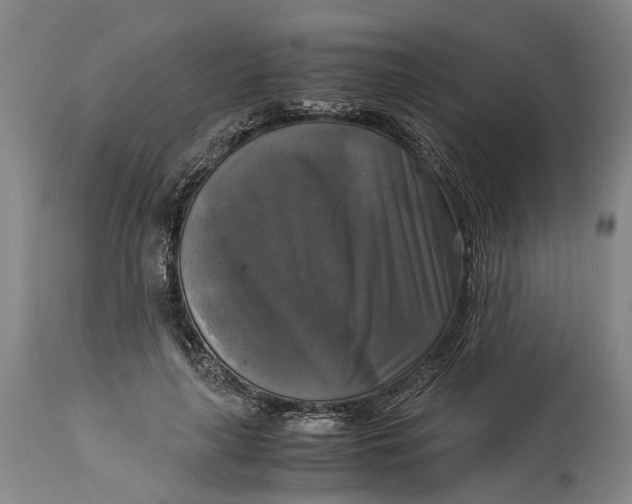 X0000115100643200911171242