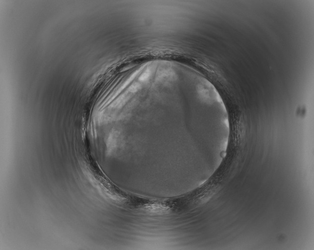 X0000115100644200911171242