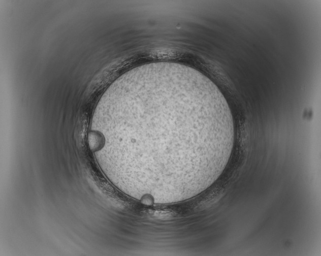 X0000115100645200911171242