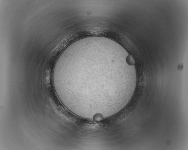 X0000115100646200911171242