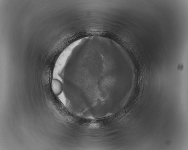 X0000115100647200911171242