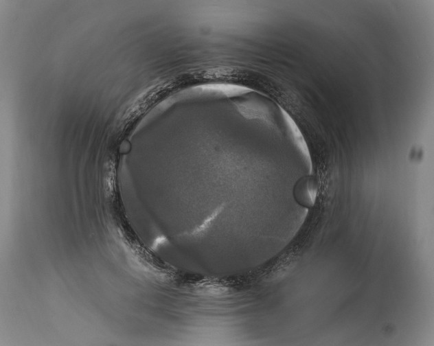 X0000115100648200911171242