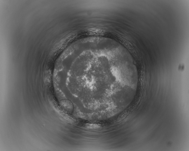 X0000115100649200911171242