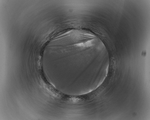 X0000115100650200911171242