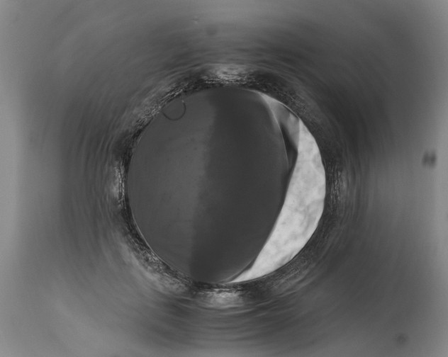 X0000115100651200911171242