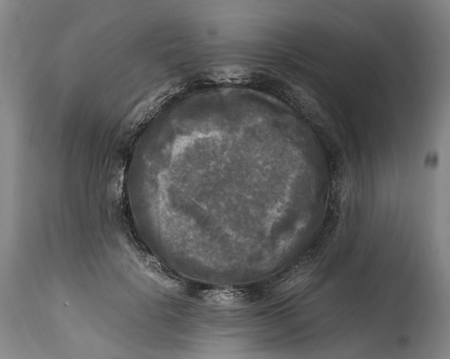 X0000115100652200911171242