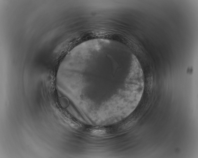 X0000115100653200911171242