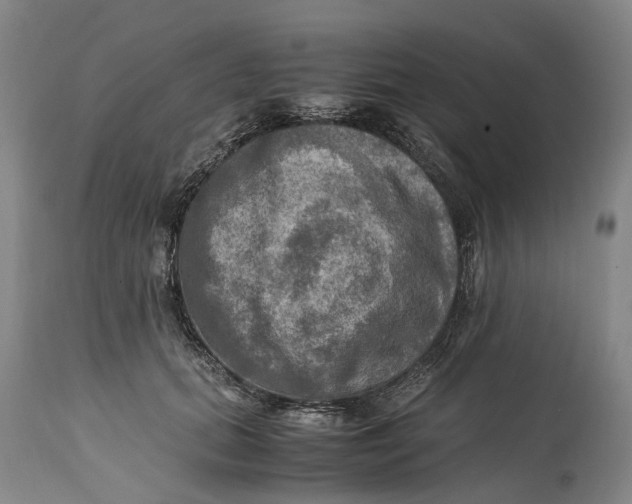 X0000115100655200911171242