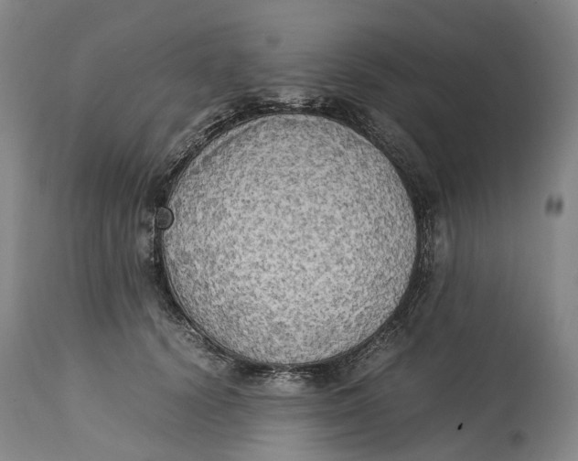 X0000115100656200911171242