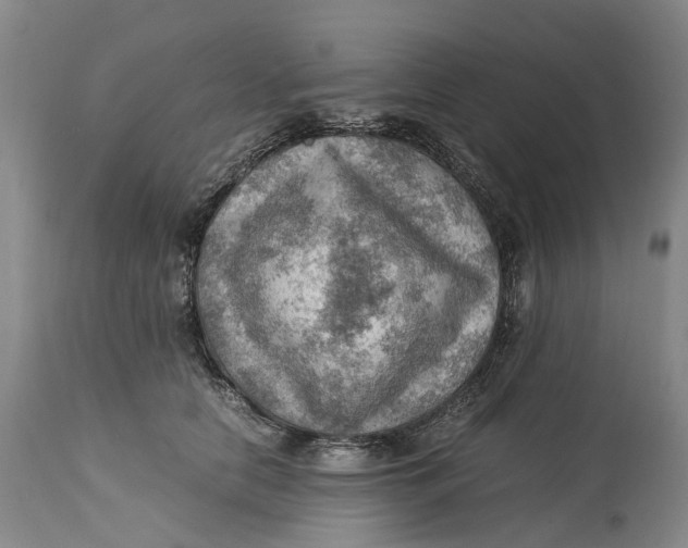 X0000115100658200911171242